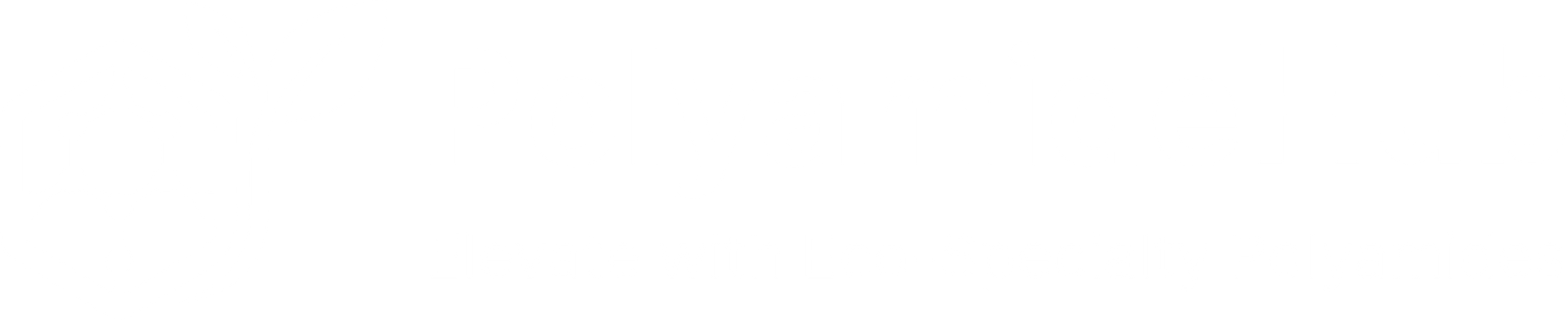 PolyamideHub white logo